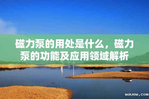 磁力泵的用处是什么,磁力泵的功能及应用领域解析 磁力泵的用处是什么,磁力泵的功能及应用领域解析