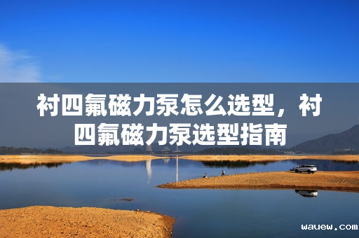 衬四氟磁力泵怎么选型,衬四氟磁力泵选型指南 衬四氟磁力泵怎么选型,衬四氟磁力泵选型指南