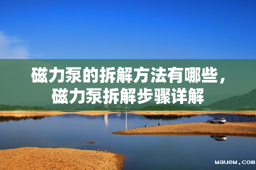 磁力泵的拆解方法有哪些,磁力泵拆解步骤详解 磁力泵的拆解方法有哪些,磁力泵拆解步骤详解