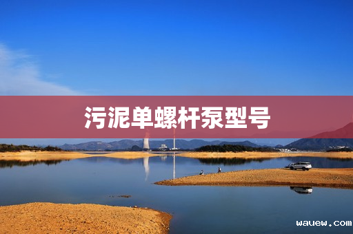 污泥单螺杆泵型号 污泥单螺杆泵型号