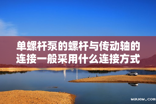 单螺杆泵的螺杆与传动轴的连接一般采用什么连接方式 单螺杆泵的螺杆与传动轴的连接一般采用什么连接方式