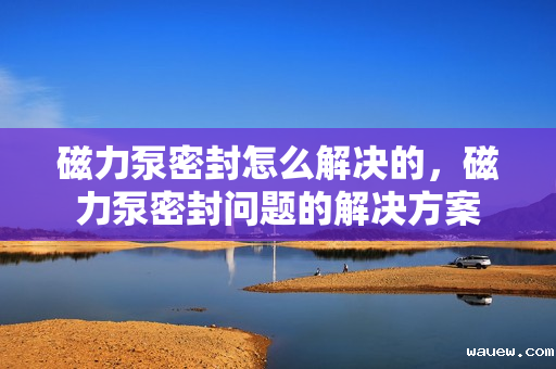 磁力泵密封怎么解决的,磁力泵密封问题的解决方案 磁力泵密封怎么解决的,磁力泵密封问题的解决方案