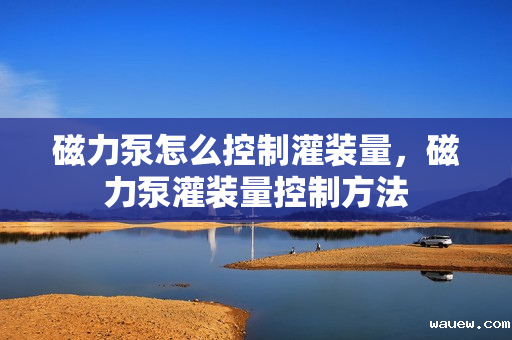 磁力泵怎么控制灌装量,磁力泵灌装量控制方法 磁力泵怎么控制灌装量,磁力泵灌装量控制方法