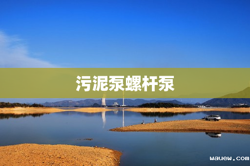 污泥泵螺杆泵 污泥泵螺杆泵