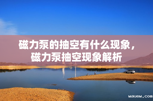 磁力泵的抽空有什么现象,磁力泵抽空现象解析 磁力泵的抽空有什么现象,磁力泵抽空现象解析