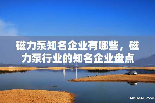 磁力泵知名企业有哪些,磁力泵行业的知名企业盘点 磁力泵知名企业有哪些,磁力泵行业的知名企业盘点