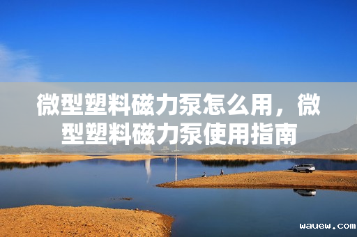 微型塑料磁力泵怎么用,微型塑料磁力泵使用指南 微型塑料磁力泵怎么用,微型塑料磁力泵使用指南