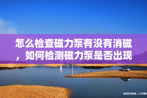 怎么检查磁力泵有没有消磁,如何检测磁力泵是否出现消磁情况 怎么检查磁力泵有没有消磁,如何检测磁力泵是否出现消磁情况