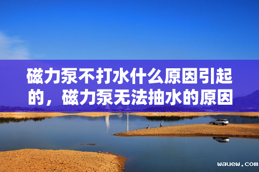 磁力泵不打水什么原因引起的,磁力泵无法抽水的原因解析 磁力泵不打水什么原因引起的,磁力泵无法抽水的原因解析