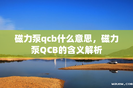 磁力泵qcb什么意思,磁力泵QCB的含义解析 磁力泵qcb什么意思,磁力泵QCB的含义解析