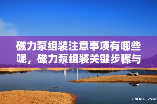磁力泵组装注意事项有哪些呢,磁力泵组装关键步骤与注意事项 磁力泵组装注意事项有哪些呢,磁力泵组装关键步骤与注意事项
