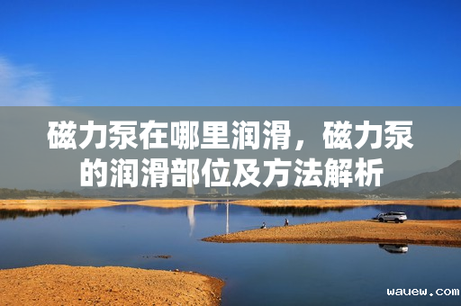 磁力泵在哪里润滑,磁力泵的润滑部位及方法解析 磁力泵在哪里润滑,磁力泵的润滑部位及方法解析