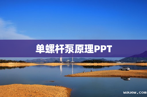 单螺杆泵原理PPT 单螺杆泵原理PPT