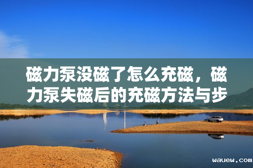 磁力泵没磁了怎么充磁,磁力泵失磁后的充磁方法与步骤 磁力泵没磁了怎么充磁,磁力泵失磁后的充磁方法与步骤