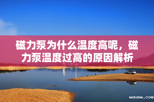 磁力泵为什么温度高呢,磁力泵温度过高的原因解析 磁力泵为什么温度高呢,磁力泵温度过高的原因解析