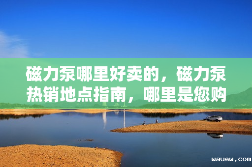 磁力泵哪里好卖的,磁力泵热销地点指南,哪里是您购买磁力泵的最佳选择? 磁力泵哪里好卖的,磁力泵热销地点指南,哪里是您购买磁力泵的最佳选择?