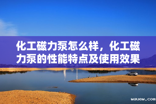 化工磁力泵怎么样,化工磁力泵的性能特点及使用效果评析 化工磁力泵怎么样,化工磁力泵的性能特点及使用效果评析