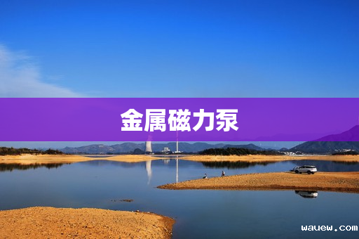 金属磁力泵 金属磁力泵