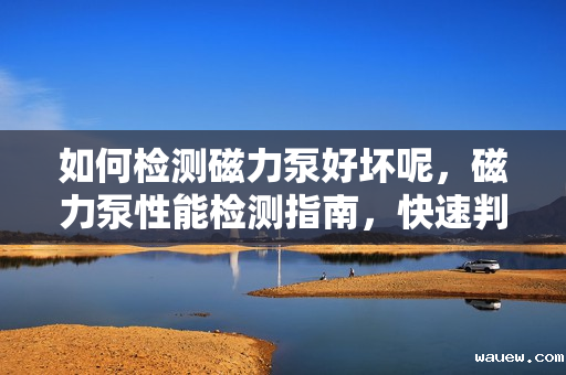 如何检测磁力泵好坏呢,磁力泵性能检测指南,快速判断好坏的方法 如何检测磁力泵好坏呢,磁力泵性能检测指南,快速判断好坏的方法