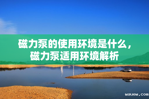 磁力泵的使用环境是什么,磁力泵适用环境解析 磁力泵的使用环境是什么,磁力泵适用环境解析