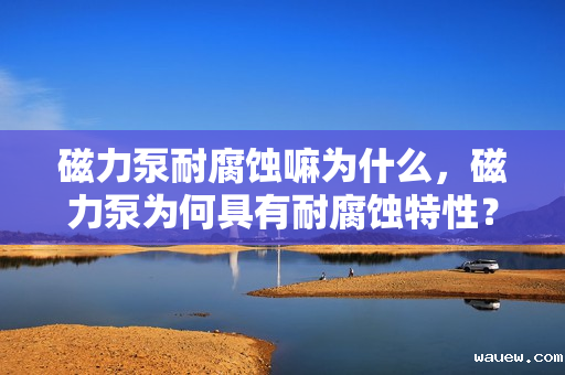磁力泵耐腐蚀嘛为什么,磁力泵为何具有耐腐蚀特性? 磁力泵耐腐蚀嘛为什么,磁力泵为何具有耐腐蚀特性?