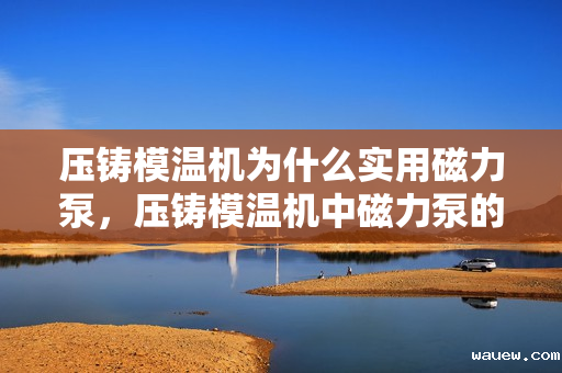 压铸模温机为什么实用磁力泵,压铸模温机中磁力泵的实用性解析 压铸模温机为什么实用磁力泵,压铸模温机中磁力泵的实用性解析