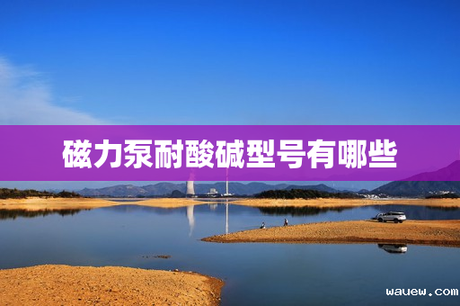 磁力泵耐酸碱型号有哪些 磁力泵耐酸碱型号有哪些