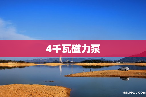 4千瓦磁力泵 4千瓦磁力泵