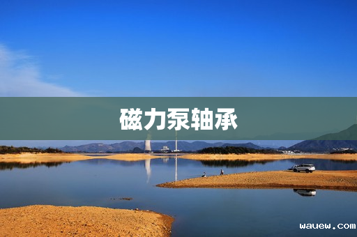 磁力泵轴承 磁力泵轴承