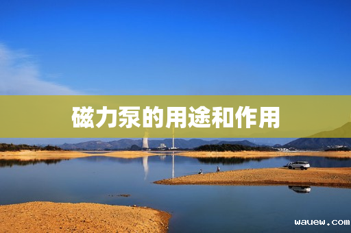 磁力泵的用途和作用 磁力泵的用途和作用