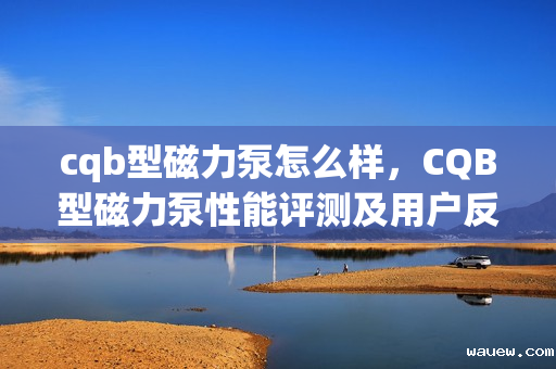 cqb型磁力泵怎么样,CQB型磁力泵性能评测及用户反馈 cqb型磁力泵怎么样,CQB型磁力泵性能评测及用户反馈
