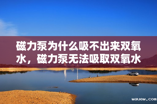 磁力泵为什么吸不出来双氧水,磁力泵无法吸取双氧水的原因解析 磁力泵为什么吸不出来双氧水,磁力泵无法吸取双氧水的原因解析