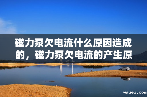 磁力泵欠电流什么原因造成的,磁力泵欠电流的产生原因解析 磁力泵欠电流什么原因造成的,磁力泵欠电流的产生原因解析