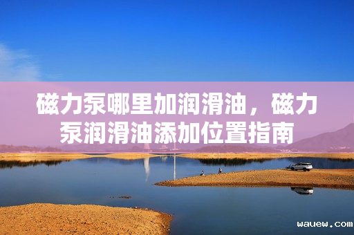 磁力泵哪里加润滑油,磁力泵润滑油添加位置指南 磁力泵哪里加润滑油,磁力泵润滑油添加位置指南