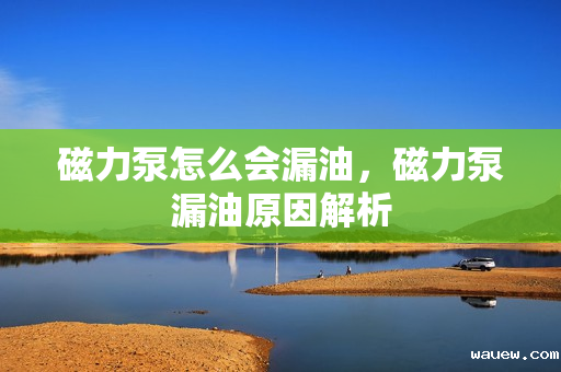 磁力泵怎么会漏油,磁力泵漏油原因解析 磁力泵怎么会漏油,磁力泵漏油原因解析