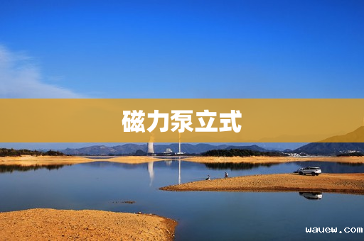 磁力泵立式 磁力泵立式