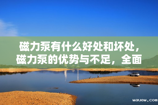 磁力泵有什么好处和坏处,磁力泵的优势与不足,全面了解这一设备的特点 磁力泵有什么好处和坏处,磁力泵的优势与不足,全面了解这一设备的特点