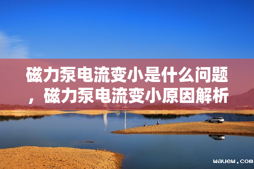 磁力泵电流变小是什么问题,磁力泵电流变小原因解析 磁力泵电流变小是什么问题,磁力泵电流变小原因解析