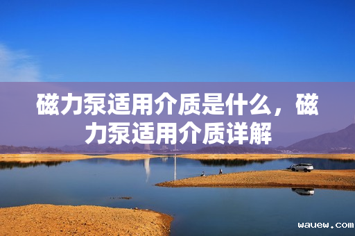 磁力泵适用介质是什么,磁力泵适用介质详解 磁力泵适用介质是什么,磁力泵适用介质详解