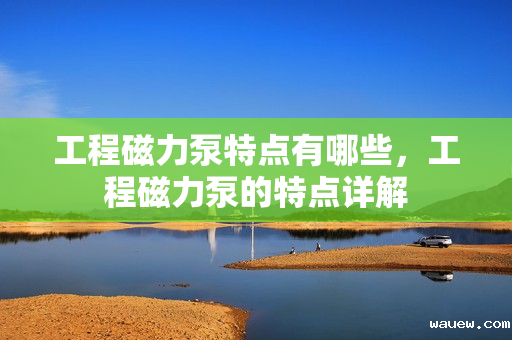 工程磁力泵特点有哪些,工程磁力泵的特点详解 工程磁力泵特点有哪些,工程磁力泵的特点详解