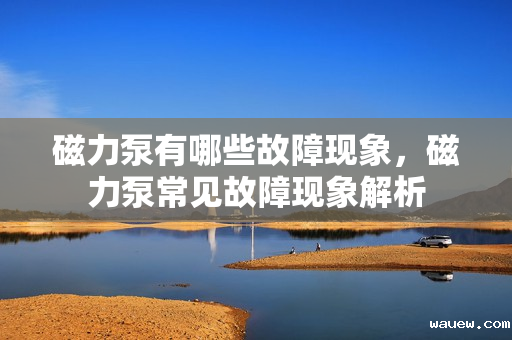 磁力泵有哪些故障现象,磁力泵常见故障现象解析 磁力泵有哪些故障现象,磁力泵常见故障现象解析