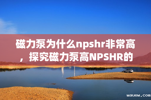 磁力泵为什么npshr非常高,探究磁力泵高NPSHR的原因 磁力泵为什么npshr非常高,探究磁力泵高NPSHR的原因