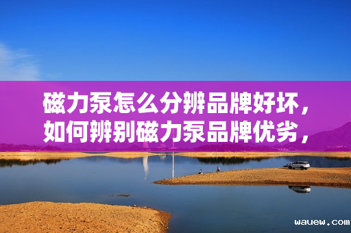 磁力泵怎么分辨品牌好坏,如何辨别磁力泵品牌优劣,一份实用指南 磁力泵怎么分辨品牌好坏,如何辨别磁力泵品牌优劣,一份实用指南