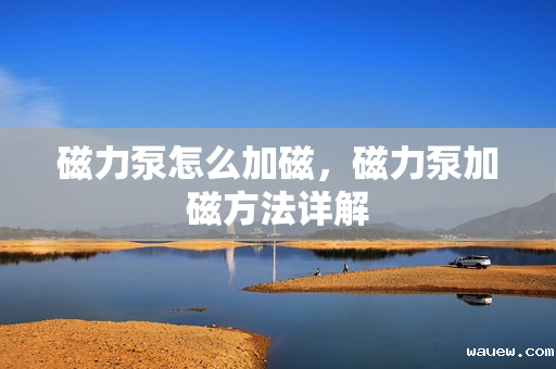 磁力泵怎么加磁,磁力泵加磁方法详解 磁力泵怎么加磁,磁力泵加磁方法详解