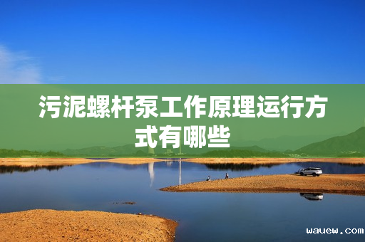 污泥螺杆泵工作原理运行方式有哪些 污泥螺杆泵工作原理运行方式有哪些