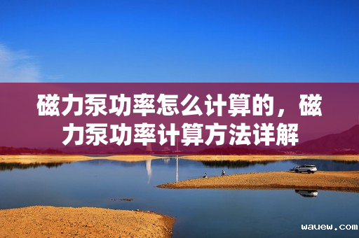 磁力泵功率怎么计算的,磁力泵功率计算方法详解 磁力泵功率怎么计算的,磁力泵功率计算方法详解