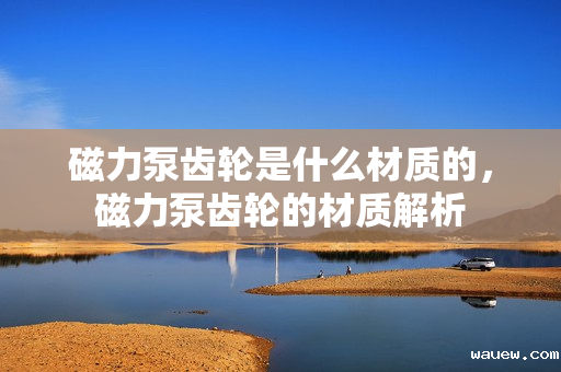 磁力泵齿轮是什么材质的,磁力泵齿轮的材质解析 磁力泵齿轮是什么材质的,磁力泵齿轮的材质解析