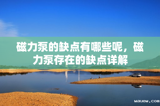 磁力泵的缺点有哪些呢,磁力泵存在的缺点详解 磁力泵的缺点有哪些呢,磁力泵存在的缺点详解