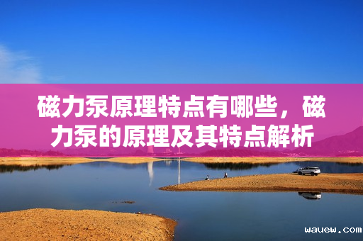 磁力泵原理特点有哪些,磁力泵的原理及其特点解析 磁力泵原理特点有哪些,磁力泵的原理及其特点解析