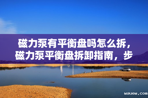 磁力泵有平衡盘吗怎么拆,磁力泵平衡盘拆卸指南,步骤详解与注意事项 磁力泵有平衡盘吗怎么拆,磁力泵平衡盘拆卸指南,步骤详解与注意事项